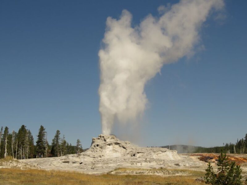 West Yellowstone: Yellowstone Day Tour Including Entry Fee - Authentic Insights from Travelers