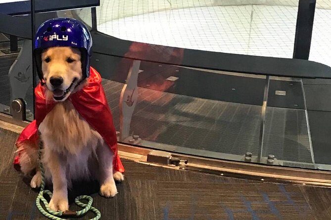 Westchester Indoor Skydiving Admission with 2 Flights & Personalized Certificate - Practical Details and Tips for Your Visit
