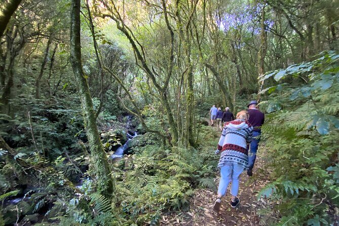 Western Bays Sightseeing Tour from Kinloch Lake Taupo - Starting Point and Logistics
