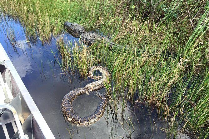 Western Everglades Adventure Tour - Key Points