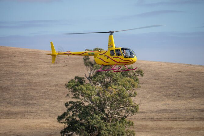 Western Ridge & Valley Floor: 20-Minute Helicopter Flight - Who Will Love This Tour?
