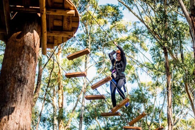Western Sydney: Tree Ropes Courses - Exploring Western Sydney’s Tree Ropes Courses: An Adventurous Day in the Trees