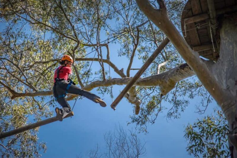 Western Sydney: Tree Ropes Courses - What to Expect at the Tree Ropes Courses