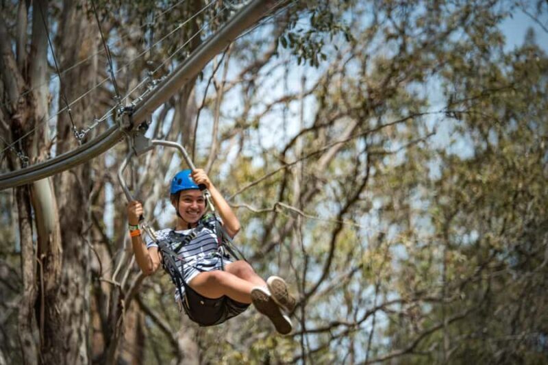 Western Sydney: Zipcoaster Experience - Key Points