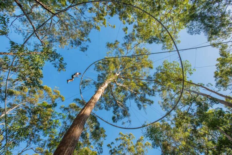 Western Sydney: Zipcoaster Experience - What is the Western Sydney Zipcoaster Experience?