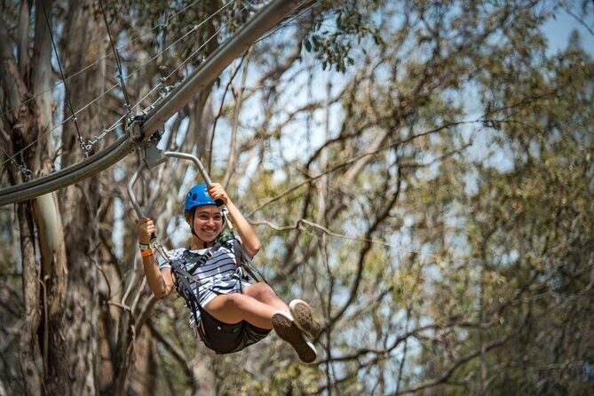 Western Sydney Zipcoaster Experience - Key Points
