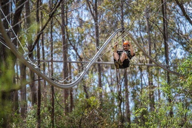 Western Sydney Zipcoaster Experience - Overview of the Western Sydney Zipcoaster Experience