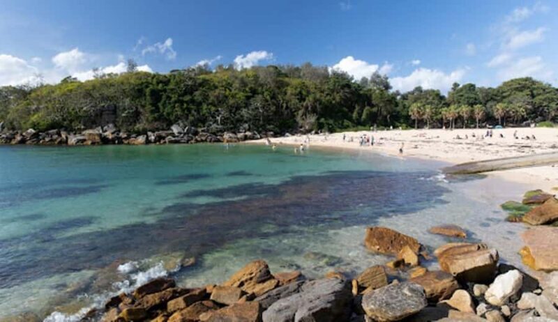 Wet & Dry Manly from Sydney - A Deep Dive into the Wet & Dry Manly Tour