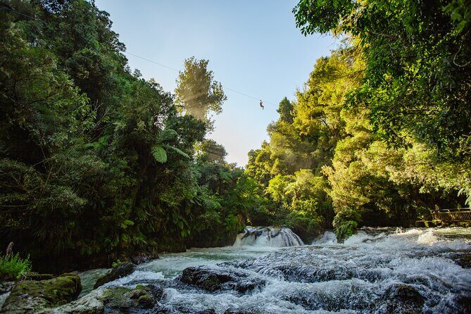 Whaka Geothermal Trails Self-Guided Tour - The Sum Up