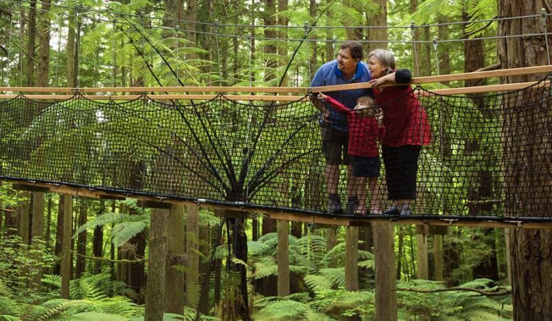 Whakarewarewa Maori Village, Lakes, and Redwoods Forest - Introduction: What to Expect from This Full-Day Adventure