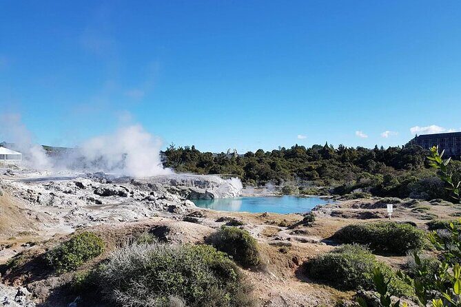 Whakarewarewa Mori Village & Geothermal - Who Might Want to Consider Alternatives?