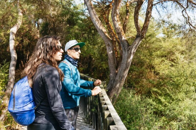 Whakarewarewa: Self-Guided Geothermal Trails - Detailed Breakdown of the Itinerary