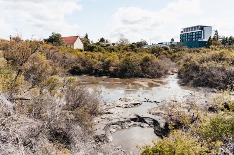 Whakarewarewa: Self-Guided Geothermal Trails - Real Traveler Insights
