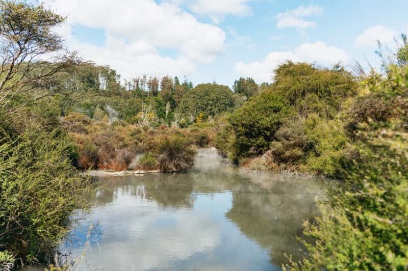 Whakarewarewa: Self-Guided Geothermal Trails - Practical Details and Tips