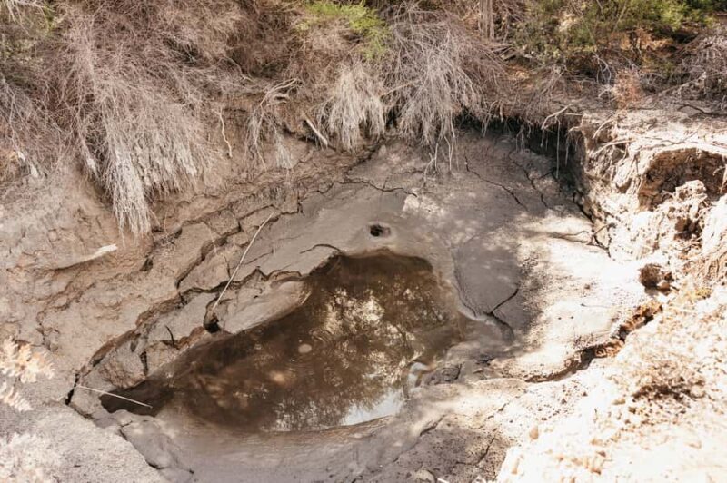Whakarewarewa: Self-Guided Geothermal Trails - The Sum Up