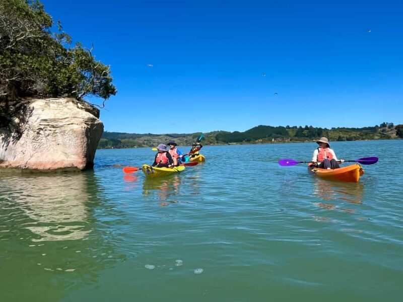 Whakatane: Ohiwa Harbour Guided Kayak Tour - Key Points