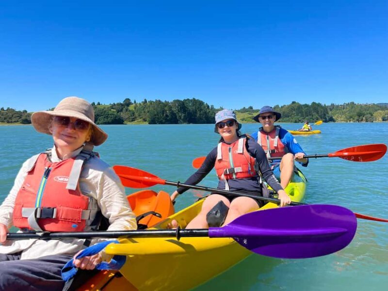 Whakatane: Ohiwa Harbour Guided Kayak Tour - Analyzing the Value