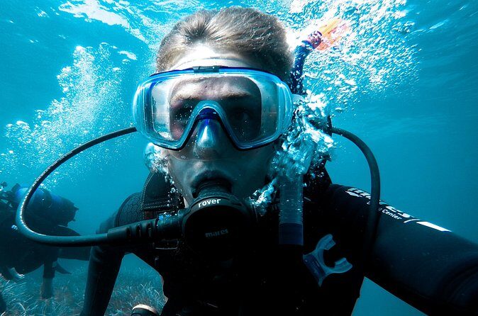Whale and Dive Combo Tour in Los Cabos - The Sum Up: A Well-Rounded Baja Adventure
