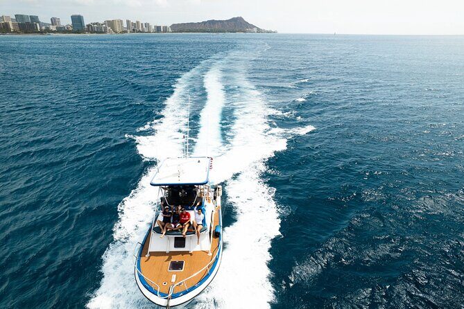 Whale and Dolphin Watch Boat Cruise in Oahu - Pricing and Value