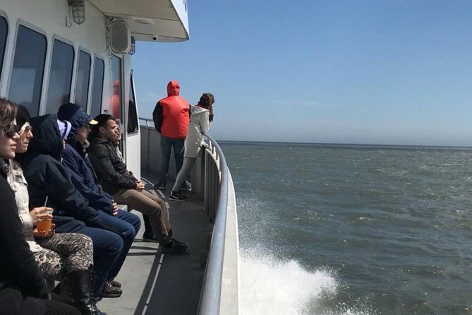 Whale and Dolphin Watching Cruise from Cape May - The Sum Up