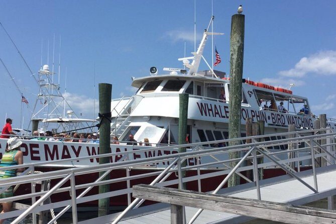 Whale and Dolphin Watching Cruise from Cape May - FAQ