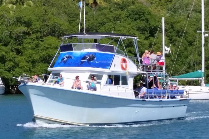 Whale and Dolphin Watching Cruise in St Lucia - A Genuine Look at the Whale and Dolphin Watching Cruise