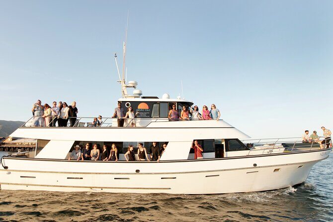 Whale and Wildlife Yacht Cruise in Santa Barbara - An In-Depth Look at the Experience