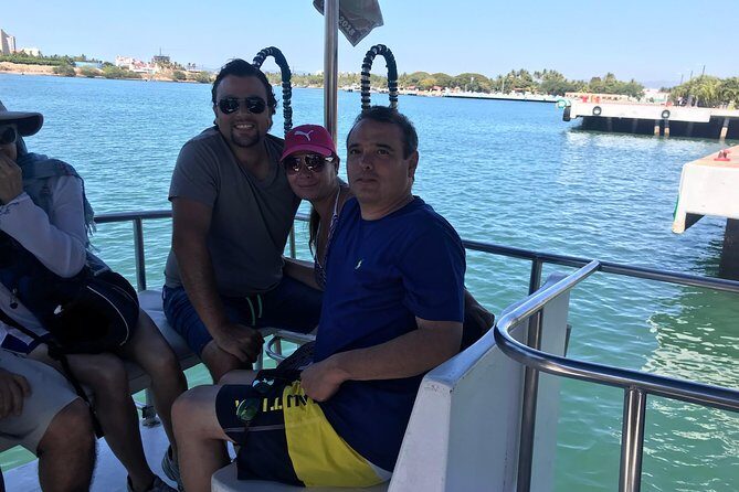 Whale & Dolphin Watching Cruise in Puerto Vallarta All Inclusive - The Itinerary: What You Can Expect
