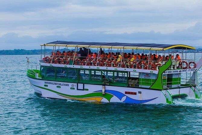 Whale & Dolphin Watching Day Tour including Handunugoda Teafactory - Key Points
