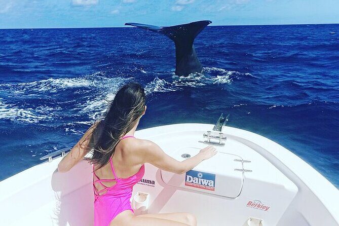 Whale Dream ltd - Whales watching and swim with dolphins - Real Traveler Insights