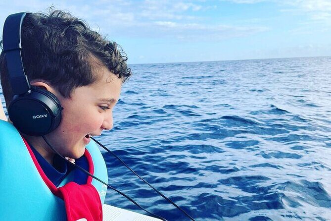 Whale Dream ltd - Whales watching and swim with dolphins - The Sum Up: Who Should Consider This Tour?