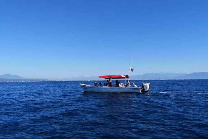 Whale Encounter Puerto Vallarta - The Sum Up: Why This Tour Is a Win