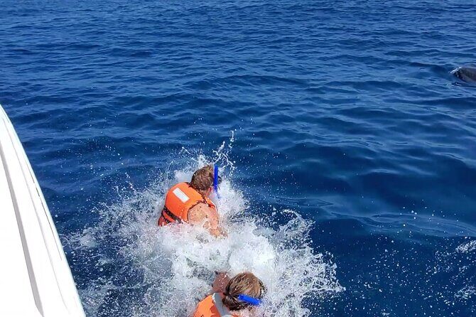 Whale Shark Adventure in Isla Mujeres and Cancun - The Experience Through the Eyes of Participants