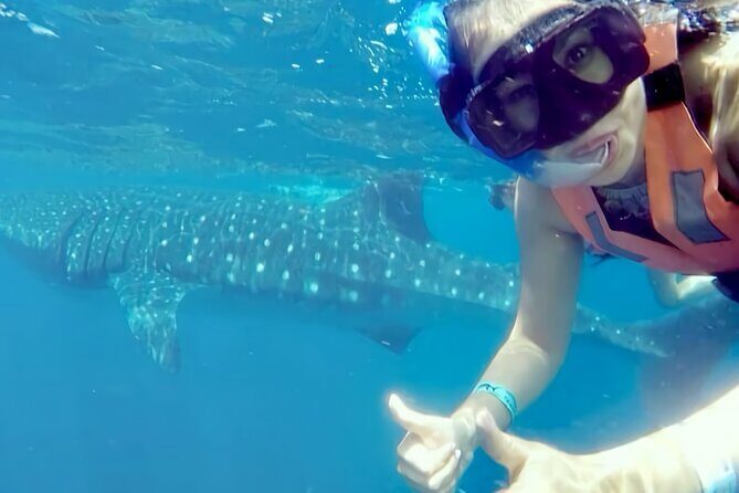 Whale Shark Adventure in Isla Mujeres and Cancun - Final Thoughts