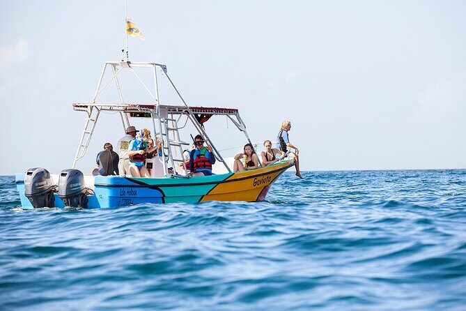 Whale Shark and Snorkeling Adventure from Isla Holbox - FAQs
