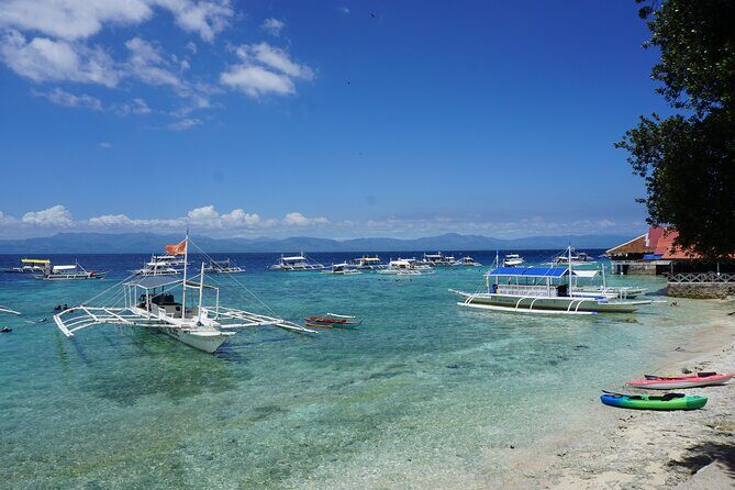 Whale Shark, Canyoneering, Sardines Run and Turtles with Transpo - A Whale of a Time: The Whale Shark Encounter