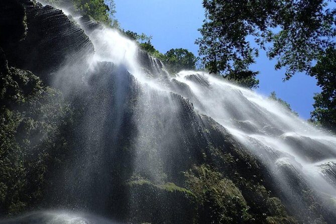 Whale Shark Encounter and Sumilon Sandbar with Kawasan Falls - An In-Depth Look at the Tour Itinerary