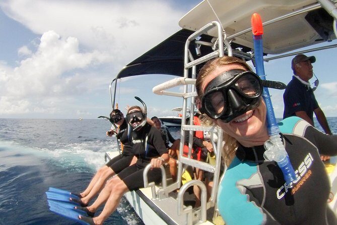 Whale shark encounter Private tour - swim with whale shark cancun - The Sum Up: Who Will Love This Tour?