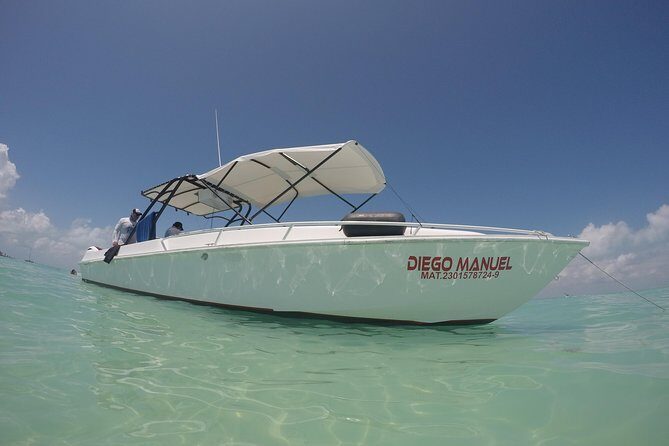 Whale shark encounter Private tour - swim with whale shark cancun - FAQs