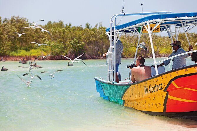 Whale Shark Group Adventure from Isla Holbox - The Sum Up