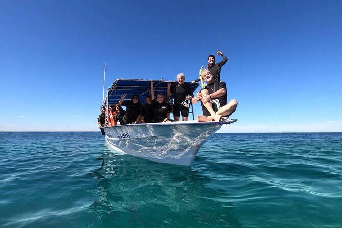 Whale Shark Snorkeling Experience from Cancun and Riviera Maya - Introduction: What Makes This Tour Special?