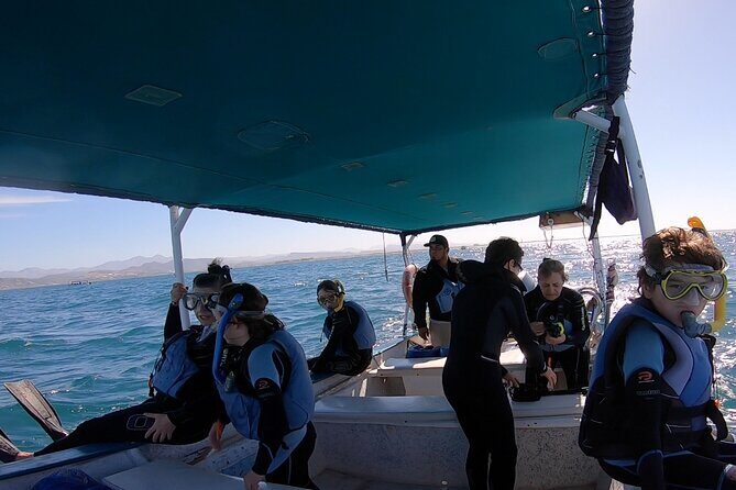 Whale Shark Swimming Adventure: Small Group with Marine Biologist - Introduction: An Encounter with Nature’s Gentle Giants