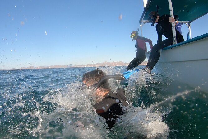 Whale Shark Swimming Adventure: Small Group with Marine Biologist - The Experience from the Guides’ Perspective