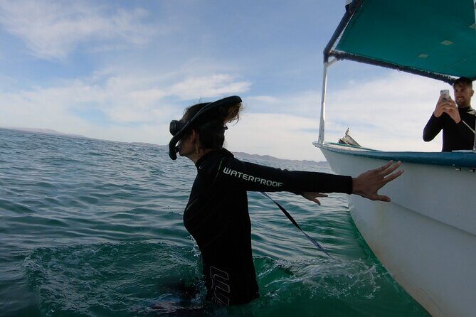 Whale Shark Swimming Adventure: Small Group with Marine Biologist - The Small Group Advantage