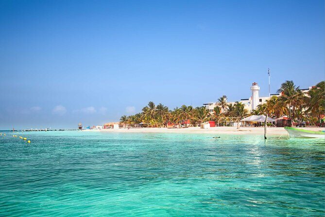 Whale Shark Watching and Snorkeling Experience on Contoy Island - The Sum Up: Is It Worth It?