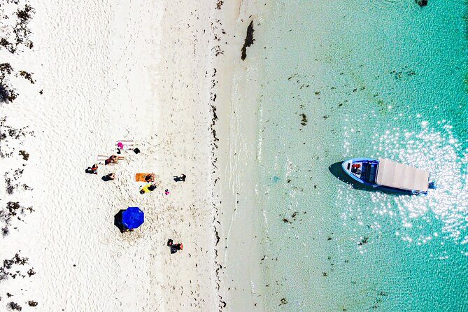 Whale sharks and sea lions snorkeling plus Balandra beach lunch - A Closer Look at the Tour Experience