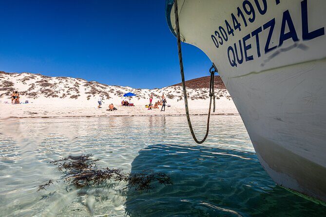 Whale sharks and sea lions snorkeling plus Balandra beach lunch - What Makes This Tour Stand Out