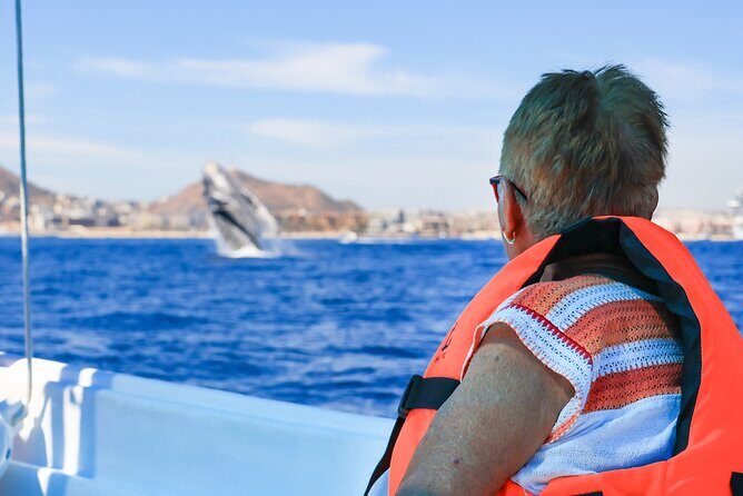 Whale Tour c/ Certified Guide, Photos & Hydrophone - The Itinerary Breakdown: A Closer Look