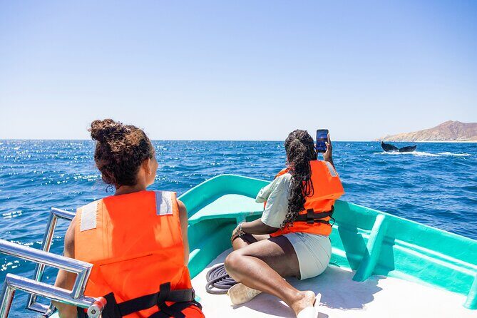 Whale Tour c/ Certified Guide, Photos & Hydrophone - Analyzing the Value