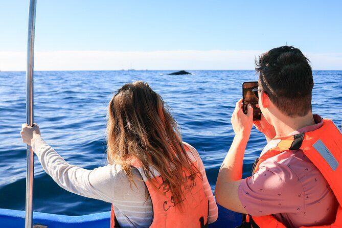 Whale Tour c/ Certified Guide, Photos & Hydrophone - Who Will Love This Tour?